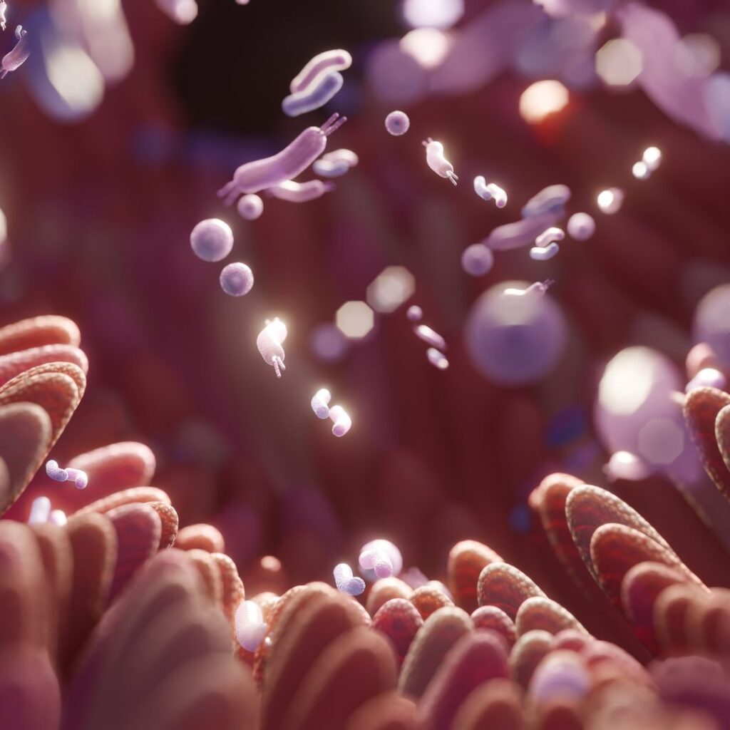 flora intestinal